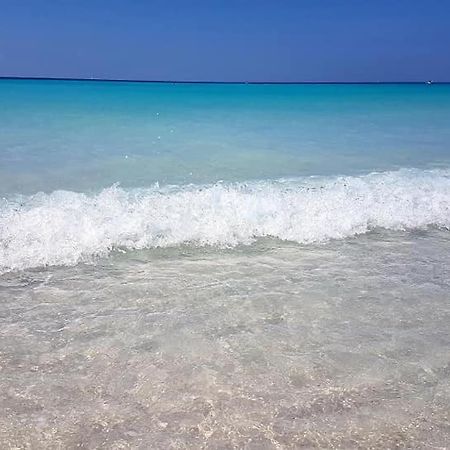 Agriturismo Il Poggio กาซาเล มาริตติโม ภายนอก รูปภาพ